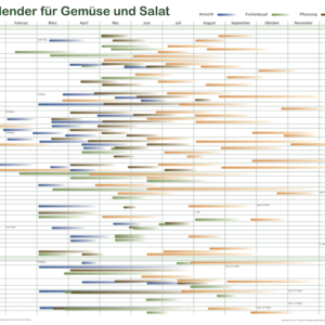 Saisonkalender für Gemüse und Salat - Poster 70x50cm